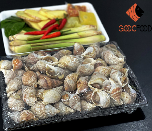 Ốc Bulot Pháp