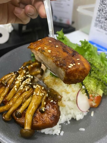 Cơm cá hồi sốt TERI JUNE