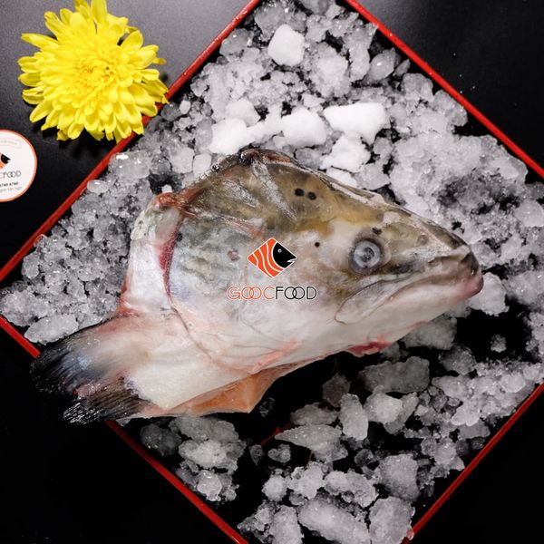 Combo 2 đầu cá hồi nhập khẩu NaUy (đông lạnh)