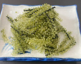 CA11 SEA GRAPES (50GR)