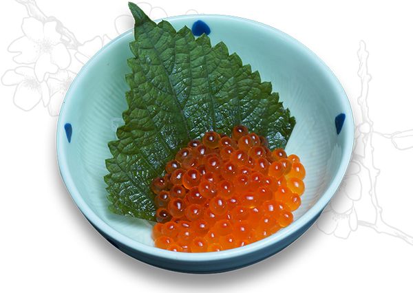 Sét Trứng Cá Hồi