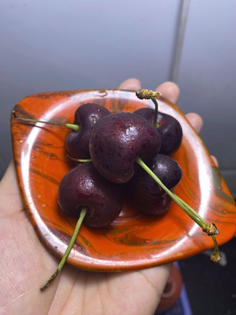 CHERRY CHILE NHẬP KHẨU HỘP 300GR (Hết Hàng)