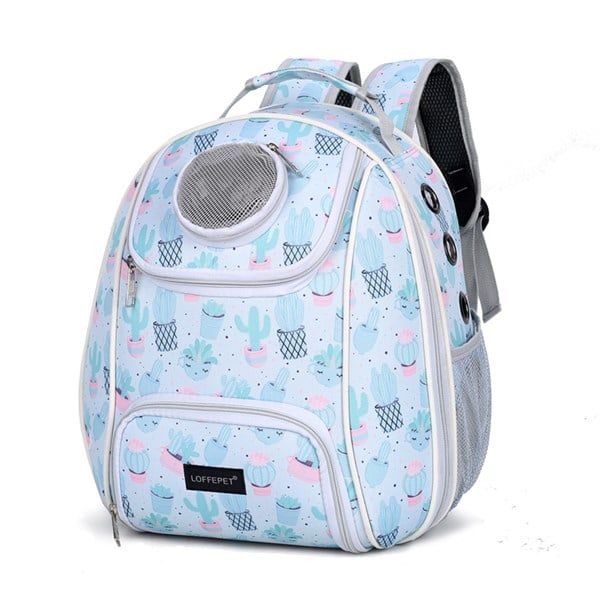 Ba lô chó mèo Pokemon - Xương Rồng Xanh 33x23x40cm | Loffepet