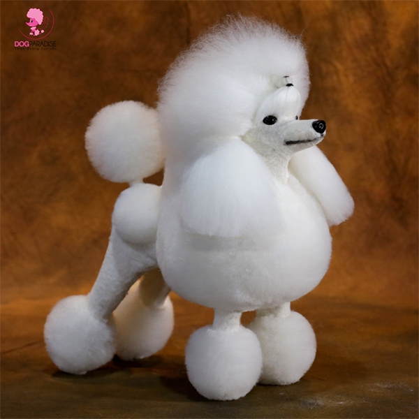 Lông chó giả toàn thân Poodle Continental Whole | JIANG