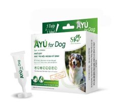 Nhỏ gáy chó Ayú ZGreen