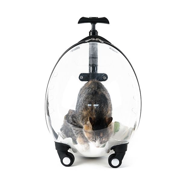 Vali đẩy trong suốt đựng chó mèo - 42x25x50cm - Màu đen