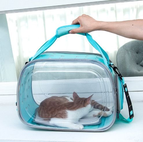 Balo trong suốt cho thú cưng Moorpet