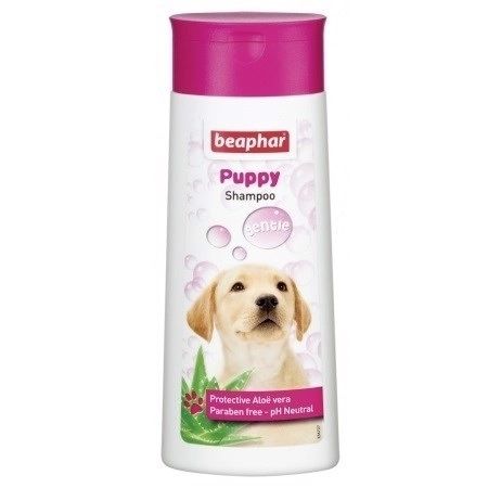 Sữa tắm cho chó Beaphar