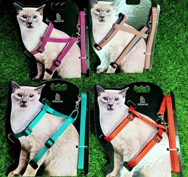 Dây dẫn yếm 2 vòng cho mèo 1.0cm