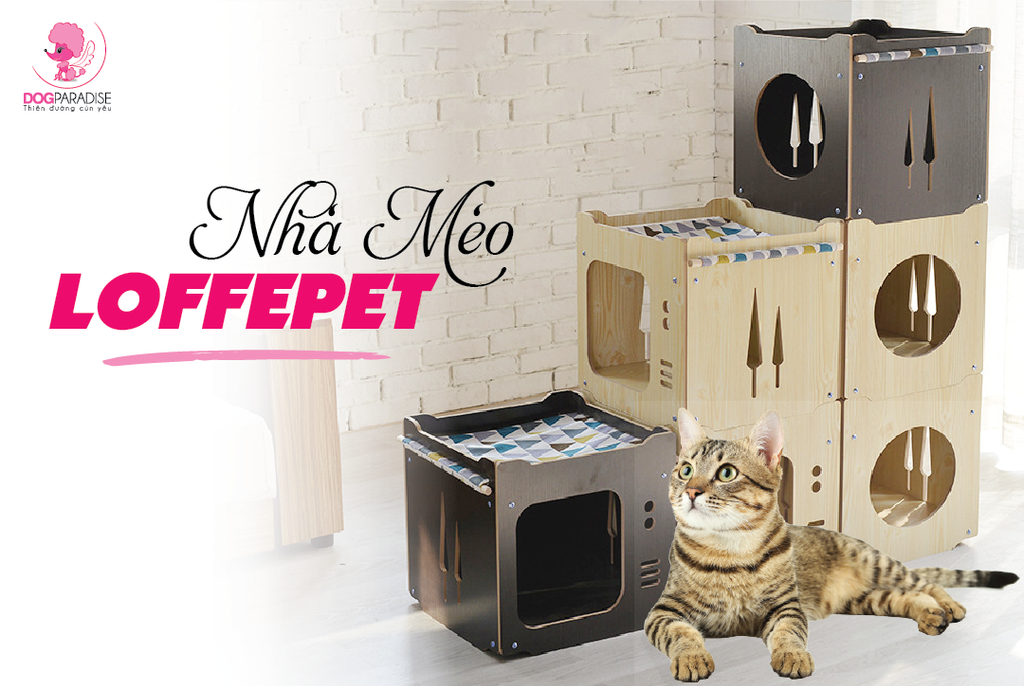 Combo 6 Nhà Gỗ Cho Mèo Loffepet