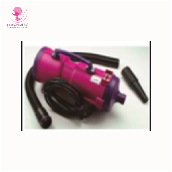 Máy sấy Đài Loan tốc độ cao, động cơ kép