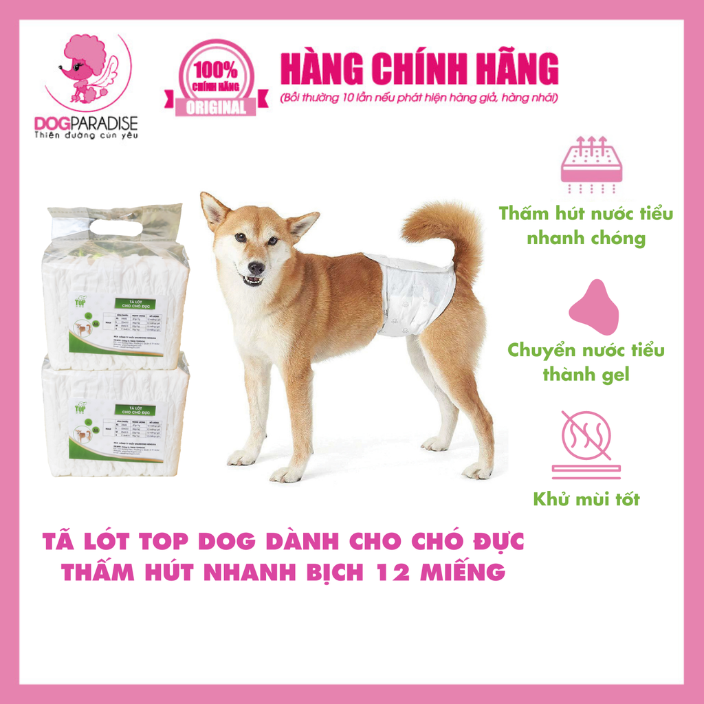 Tã quần cho chó đực - L | TOPDOG