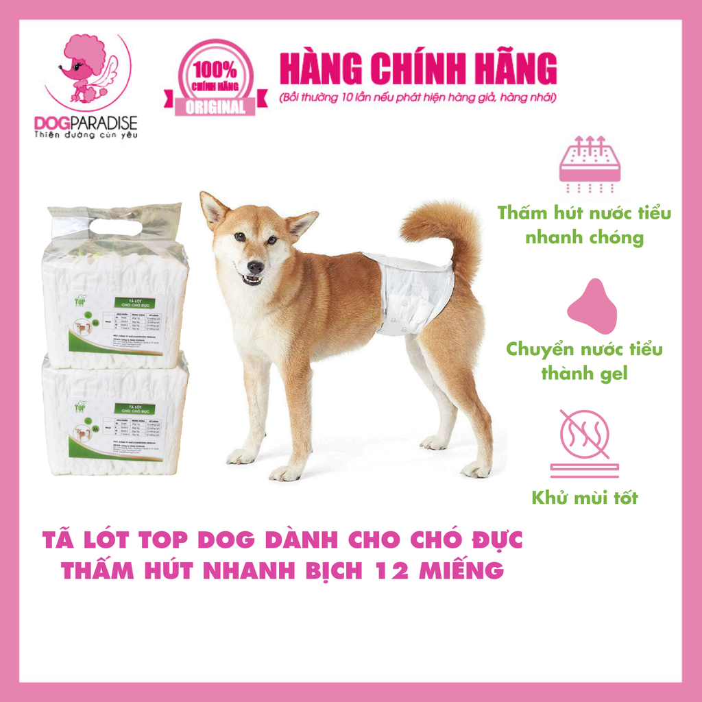 Tã quần cho chó đực - S | TOPDOG