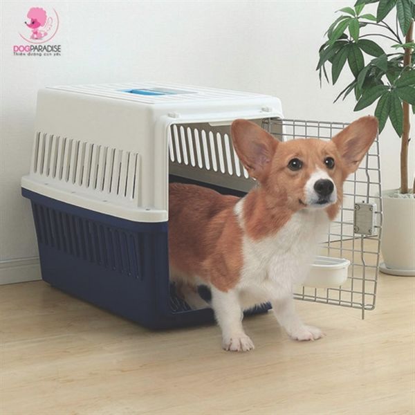 Lồng vận chuyển hàng không chó mèo ATC670 - Trắng đỏ | IRIS 20kg - Trắng Xanh