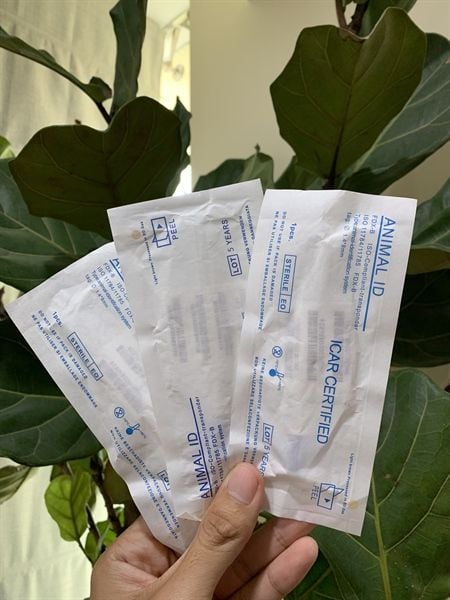 Microchip ( Animal ID ) Chip định danh thú cưng cho Chó Mèo