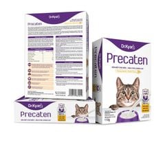 Sữa bột cho mèo Precaten| Dr.Kyan
