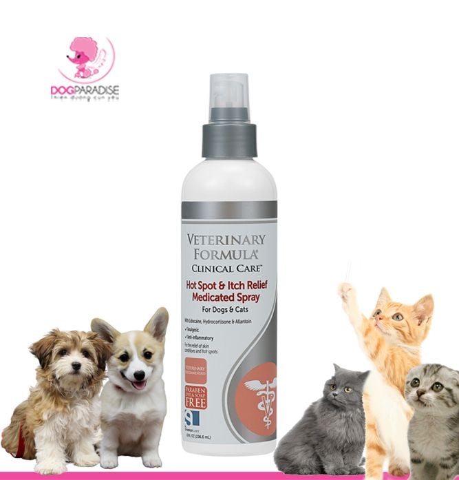 Thuốc xịt trị viêm ngứa tấy đỏ kích ứng da cho chó mèo Veterinary Formular Clinical Care Hot Spot Itch Relief Medicated Spray