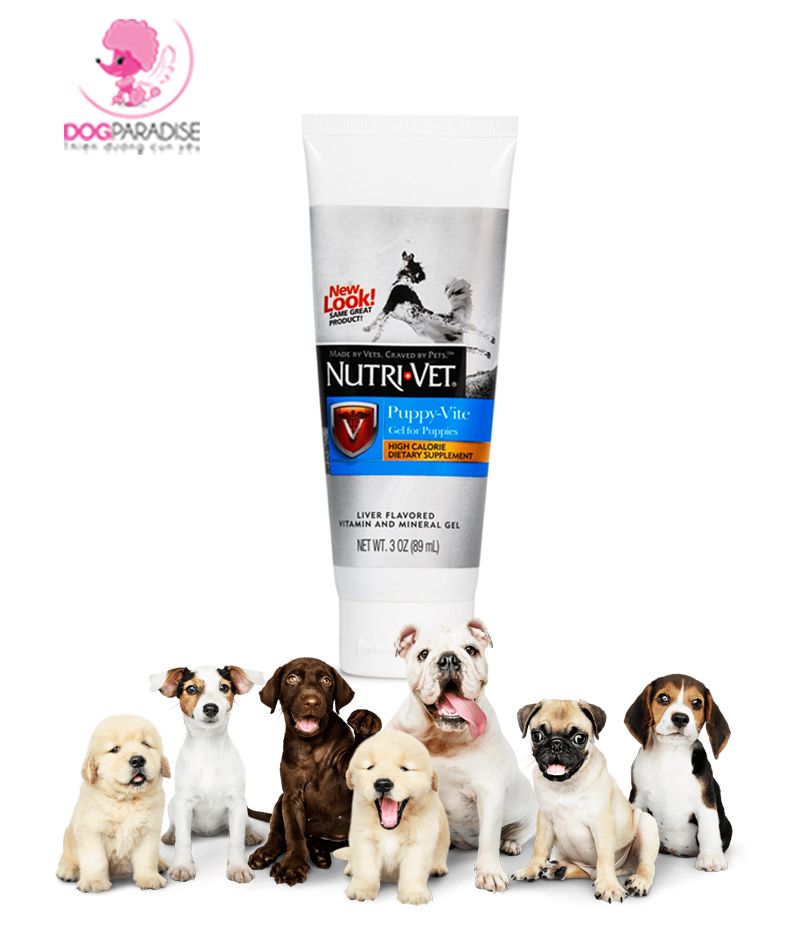 Gel dinh dưỡng bổ sung vitamin cho chó con vị gan Puppy-Vite 89ml | Nutri-Vet