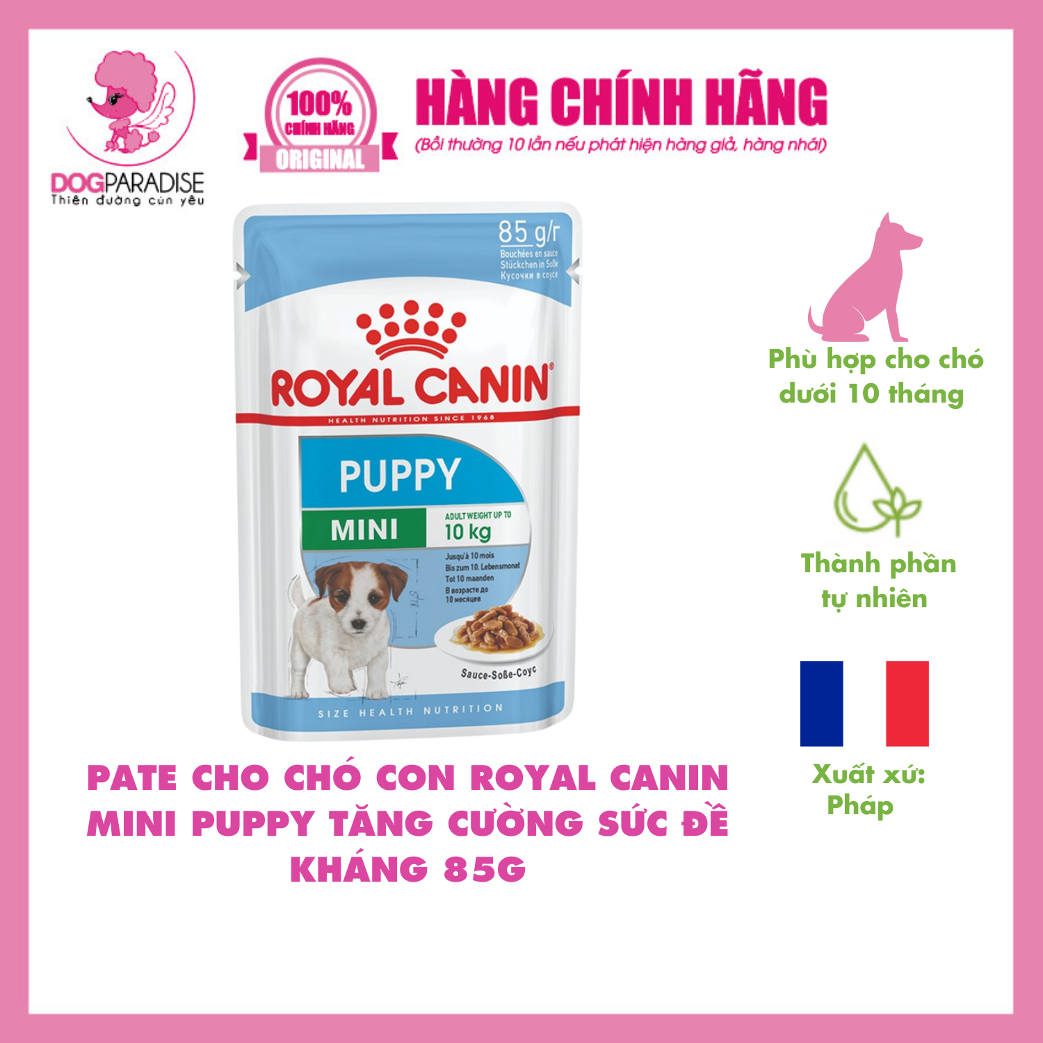 Canin Mini Indoor Royal Canin Corgi Food Hill's Science Diet