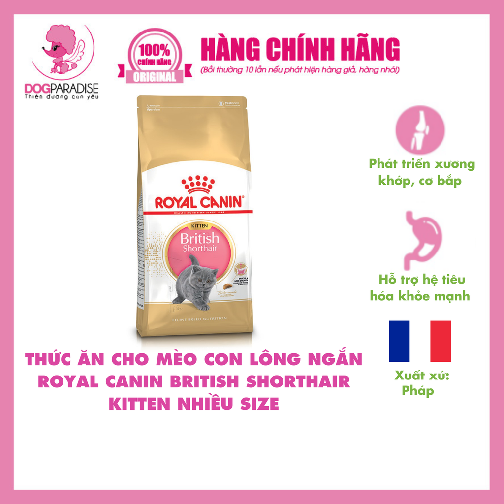 Thức ăn cho mèo lông ngắn Anh British Shorthair Kitten| Royal Canin