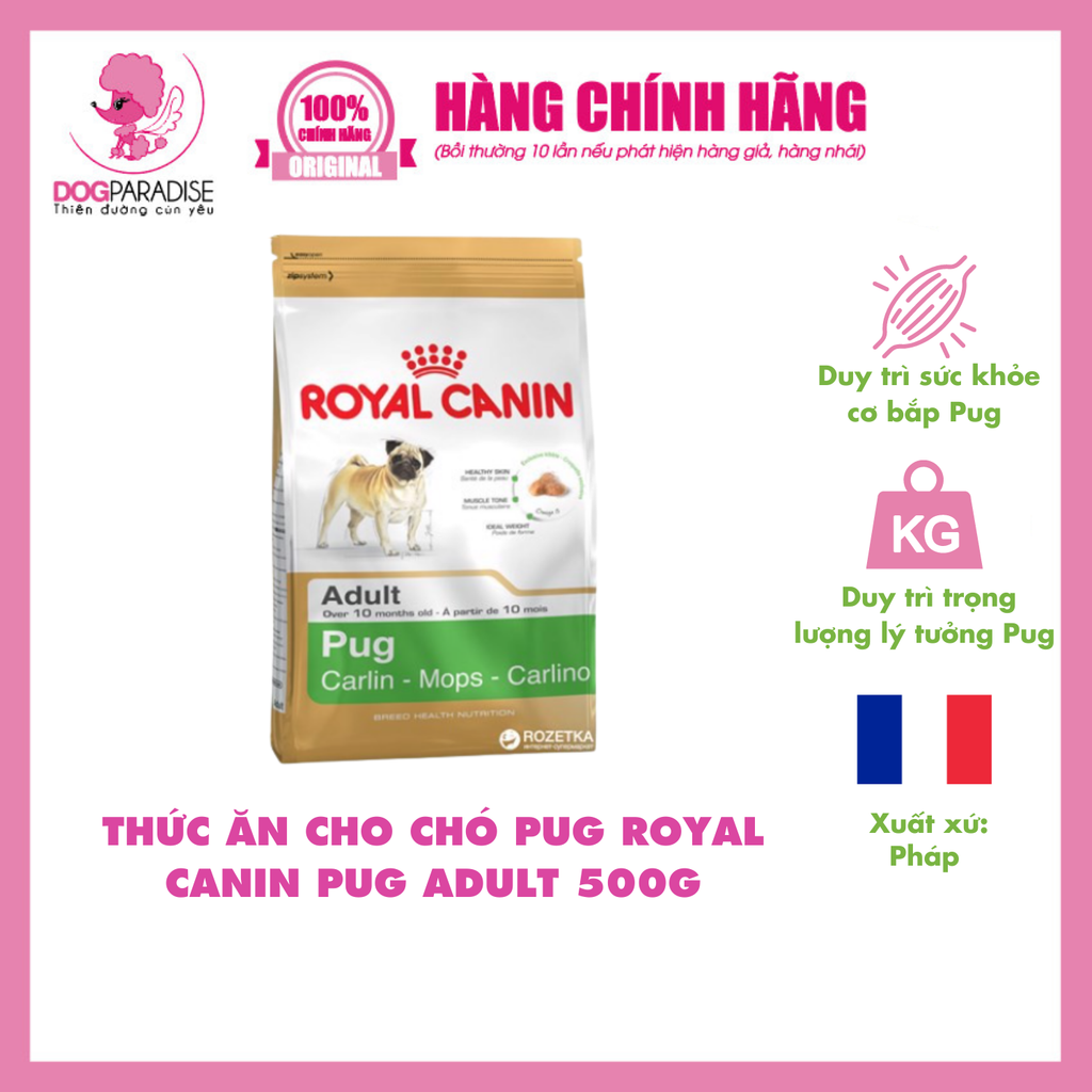 Thức ăn cho chó Pug Adult | Royal Canin