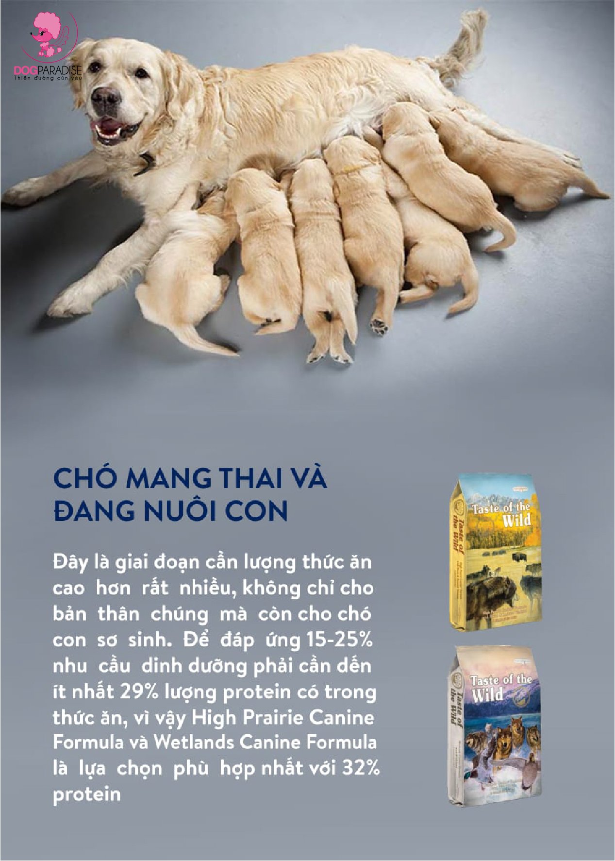 taste of the wild for labs