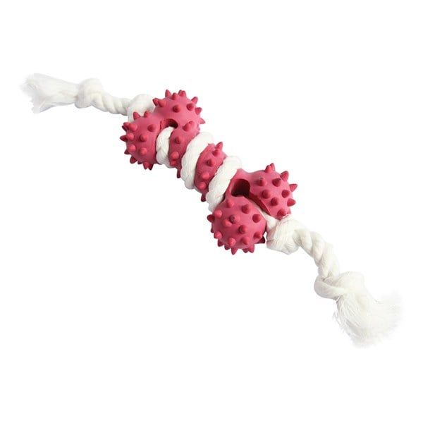 Đồ chơi hình xương có gai cỡ nhỏ