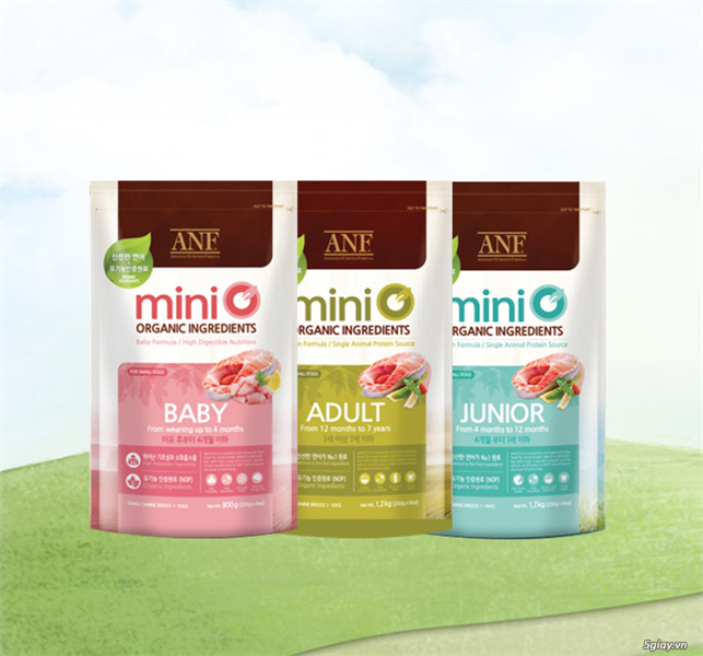 ANF mini organic Junior