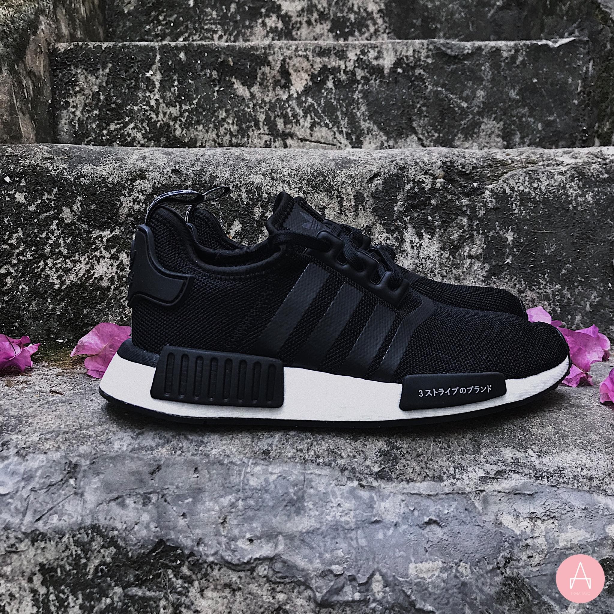 cg6245 adidas