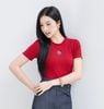 AT22-Áo Thun Lụa Mịn Đính Hoa Hồng
