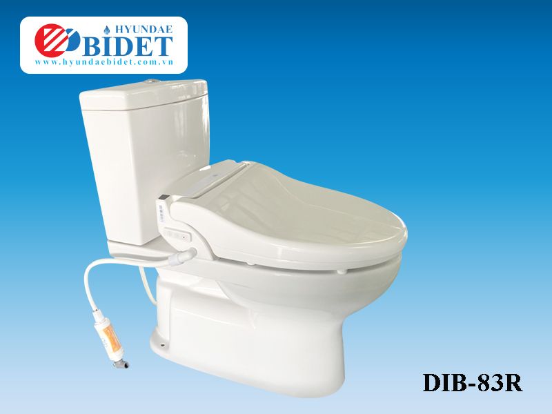  Hyundae Bidet DIB-83RVN 