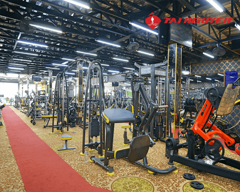 Gym Tài Nguyên Gò Vấp