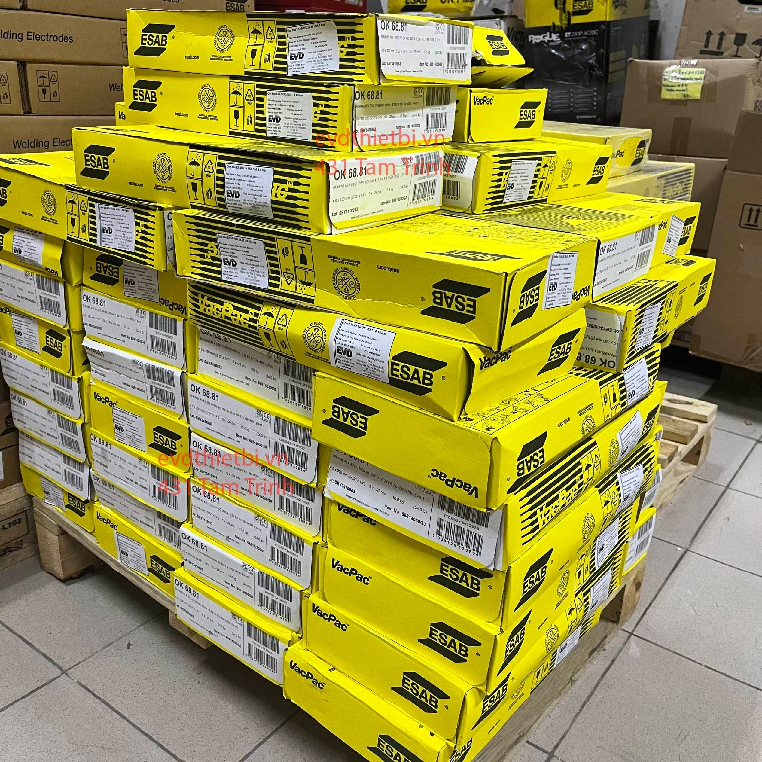 QUE HÀN ESAB OK 68.81