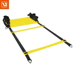 THANG TẬP GYM LS3671 - AGILITY LADDER