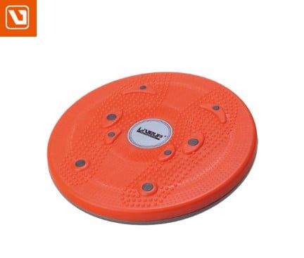 ĐĨA XOAY EO LS3165B - MAGNETIC DISC