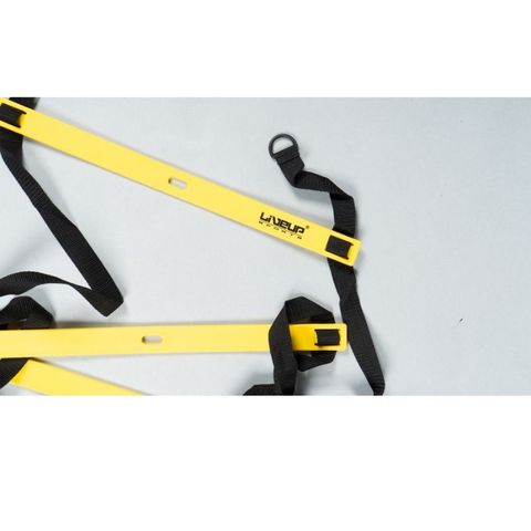 THANG TẬP GYM LS3671 - AGILITY LADDER