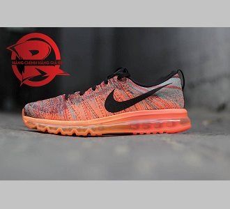 Giày Nike Flyknit Max (3)