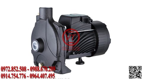 Máy bơm ly tâm lưu lượng nước lớn TNF150 (380V) (VT-PMAN101)