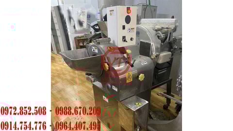 MÁY CẮT CÀ RỐT HẠT LỰU, MÁY CẮT HẠT LỰU CÔNG NGHIỆP, MÁY CẮT RAU CỦ QUẢ HẠT LỰU (VT-MTCQ51)