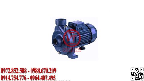 Máy bơm ly tâm trục ngang Ebara CMB​ 5.50 T (VT-EBAR108)