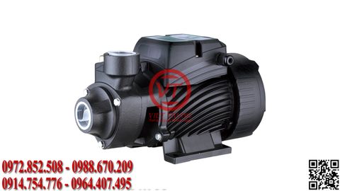 Máy bơm đẩy cao đ​ầu chuột QB80 (VT-PMAN19)