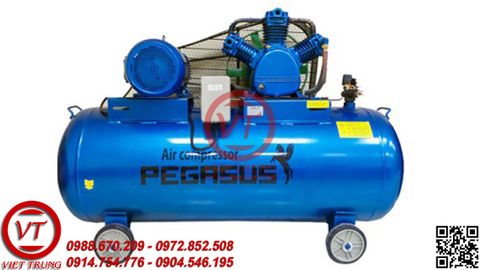 Máy nén khí dây đai PEGASUS TM- W- 2.0 / 12.5-500L(VT-MNK122)