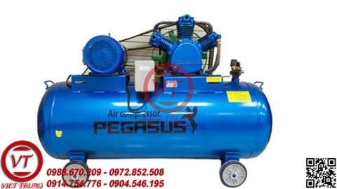 Máy nén khí dây đai PEGASUS TM-W-1.0/8-330L (VT-MNK115)