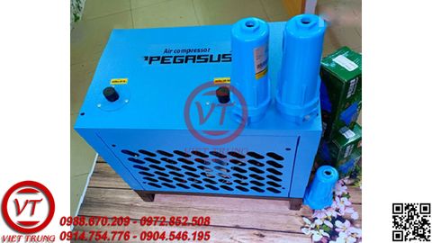 Máy sấy khí PEGASUS TMMSK-15(VT-MNK209)