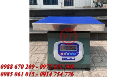 Cân Ghế Hộp 100kg 501E Chống Rung, Chốt Số (VT-C20)