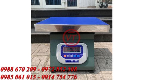 Cân Ghế Hộp 200kg 501E Chống Rung, Chốt Số (VT-C22)