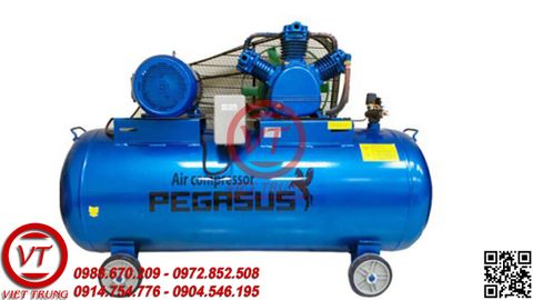 Máy nén khí dây đai PEGASUS TM-W-0.9/8-330L(VT-MNK113)