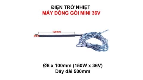 Điện trở nhiệt 6x100x36V