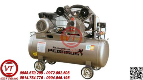 Máy nén khí dây đai Pegasus TM-V-0.17/8-100L(VT-MNK56)