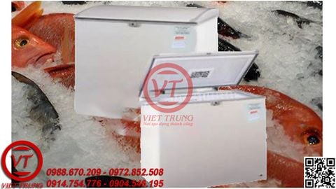 TỦ ĐÔNG ACSON ACF30FR(VT-TD82)